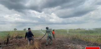 Hadapi kemarau, BPBD Kabupaten Banjar dirikan posko induk karhutla dan posko pembantu