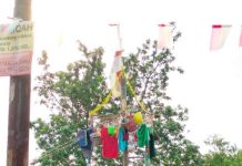 Riwayat lomba panjat pinang, sudah ada sejak zaman Hindia Belanda