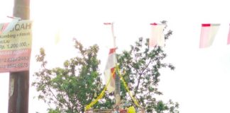 Riwayat lomba panjat pinang, sudah ada sejak zaman Hindia Belanda