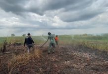 Musim kemarau tiba, karhutla bakar semak belukar di Desa Sungai Batang Martapura