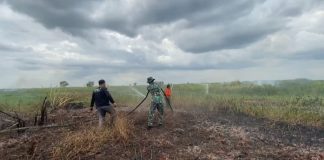 Musim kemarau tiba, karhutla bakar semak belukar di Desa Sungai Batang Martapura