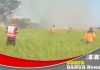 Dalam satu hari, petugas BPBD padamkan karhutla di tiga tempat berbeda