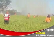 Dalam satu hari, petugas BPBD padamkan karhutla di tiga tempat berbeda