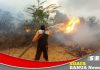 Karhutla di Kecamatan Martapura mendekati pemukiman warga