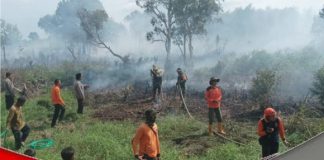 Kebakaran lahan di Desa Penggalaman, sempat ganggu proses belajar mengajar