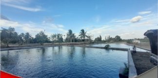 Jadwal pengeringan Irigasi Riam Kanan ‘ditunda’ pembudidaya sudah ada yang jual murah ikannya