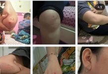 Polisi monitor video dugaan KDRT di Banjarbaru yang beredar di medsos