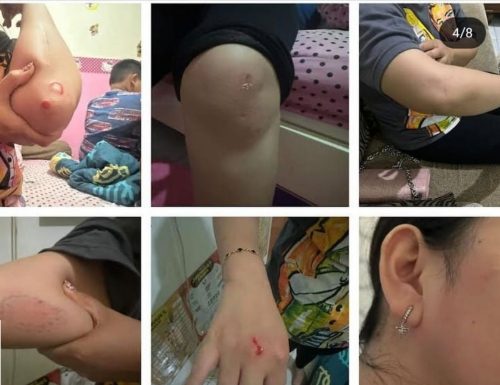 Polisi monitor video dugaan KDRT di Banjarbaru yang beredar di medsos