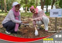 Peringati Hari Sumpah Pemuda, Srikandi PLN Indonesia Power UBP Barito, lakukan penanaman pohon di PLTA Ir. PM Noor