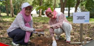 Peringati Hari Sumpah Pemuda, Srikandi PLN Indonesia Power UBP Barito, lakukan penanaman pohon di PLTA Ir. PM Noor