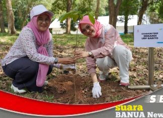 Peringati Hari Sumpah Pemuda, Srikandi PLN Indonesia Power UBP Barito, lakukan penanaman pohon di PLTA Ir. PM Noor
