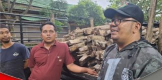 Puluhan kubik kayu bakar asal Desa Penyipatan dikirim untuk dapur umum di haul Guru Sekumpul