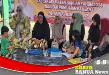 Anna Rosiana, dapat usulan soal penanganan banjir di Kabupaten Banjar