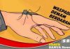 Satu balita di Kabupaten Banjar meninggal karena DBD, waspada saat musim penghujan