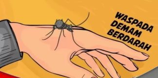 Satu balita di Kabupaten Banjar meninggal karena DBD, waspada saat musim penghujan