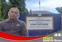 Tingkatkan produksi hasil pertanian, Dinas Pertanian Banjar rancang program optimalisasi lahan pertanian