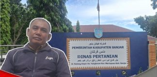 Tingkatkan produksi hasil pertanian, Dinas Pertanian Banjar rancang program optimalisasi lahan pertanian