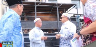 Pemkab Banjar dan Bank Kalsel berikan bantuan 2 ekor sapi untuk kegiatan haul Guru Sekumpul ke 20