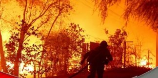 Kerugian imbas kebakaran hutan Los Angeles capai Rp 2.430 trilliun