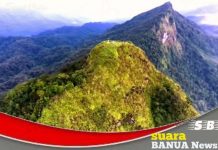 Aktivitas pendakian Gunung Halau Halau ditutup sementara, menyusul rencana tradisi Basambu Umang