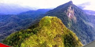 Aktivitas pendakian Gunung Halau Halau ditutup sementara, menyusul rencana tradisi Basambu Umang
