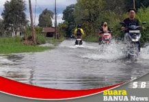 Intensitas curah hujan yang tinggi, 8 Desa di Kecamatan Mandastana Batola direndan air