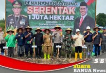 Dukung ketahanan pangan, Pj Bupati Batola bersama Kapolres Barito Kuala lakukan penanaman Jagung
