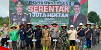 Dukung ketahanan pangan, Pj Bupati Batola bersama Kapolres Barito Kuala lakukan penanaman Jagung