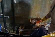 Bungkusan kardus berisi bangkai kucing gegerkan warga Jalan Sukaramai Martapura