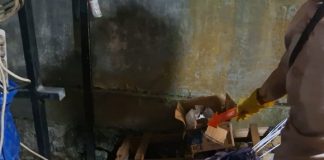 Bungkusan kardus berisi bangkai kucing gegerkan warga Jalan Sukaramai Martapura