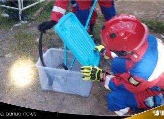 Seorang anak berkebutuhan khusus di Martapura, meninggal dunia akibat digigit ular berbisa
