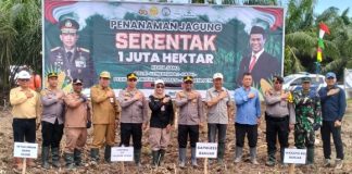 Dukung ketahanan pangan nasional, sejumlah pejabat di Kabupaten Banjar lakukan tanam Jagung