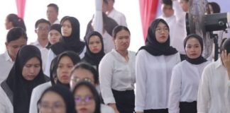 Banyak honorer calon PPPK diberhentikan, Kementerian PANRB buka suara
