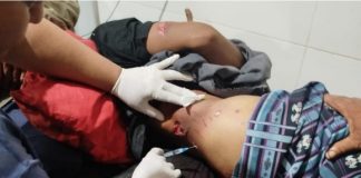 Seorang warga Batakan di sambar buaya, korban alami luka parah hingga di rujuk ke RS