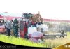 Panen raya serentak bersama presiden , bupati Batola ucapan terima kasih : Batola salah satu lokasi panen