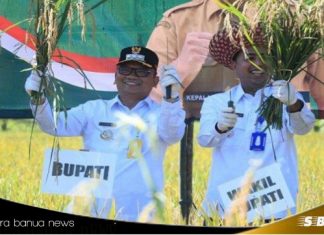 Bupati Tabalong HM.Noor Rifani panen raya di Desa Pangelak bersama forkopimda