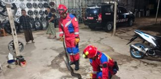 Petugas Damkar evakuasi Ular Sawa berukuran 3,5 meter dari Bengkel Ban di Gambut