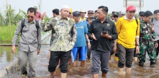 1.268 rumah terdampak banjir rob di Jejangkit, bakal direnovasi, bupati Batola : “Ini PR buat kami”