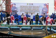 Dukung program ketahanan pangan nasional, Polda Kalsel berikan bantuan bibit ikan