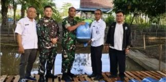 Dorong swasembada pangan di tingkat lokal, Kodim 1005/Barito Kuala terima bibit ikan lele