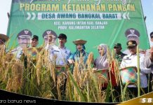 Desa Awang Bangkal Barat sukses panen raya padi di lahan pegunungan