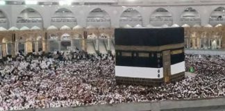 Greenpeace Indonesia kembali dorong Haji Hijau, tekankan peran pemerintah dan kesadaran jemaah