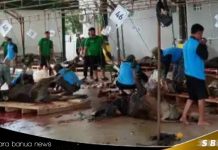 Masjid Al Jihad Banjarmasin sembelih 93 sapi kurban, bagikan 12.000 kupon daging