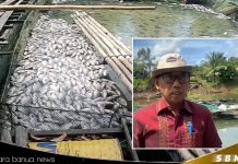 Ribuan ikan keramba di Karang Intan mati massal akibat kekurangan Oksigen