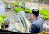 Anggota DPRD Barito Kuala hadiri tanam padi perdana di Jejangkit Muara