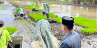 Anggota DPRD Barito Kuala hadiri tanam padi perdana di Jejangkit Muara
