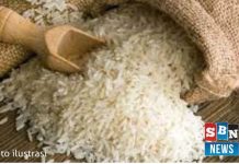 Kementan temukan dugaan kecurangan penjualan beras, potensi kerugian negara capai Rp 101,35 triliun