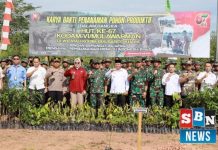Bupati Barito Kuala hadiri penanaman pohon serentak dalam rangka HUT ke-67 Kodam VI/Mulawarman