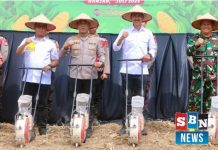 Pemkab Banjar dukung penuh ketahanan pangan nasional lewat penanaman jagung serentak