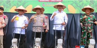 Pemkab Banjar dukung penuh ketahanan pangan nasional lewat penanaman jagung serentak